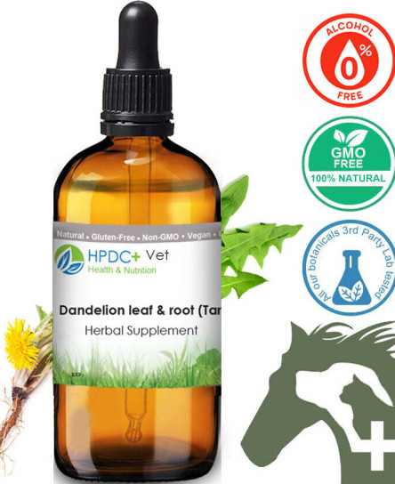 dandelion-tincture-for-cat-dog-pet-liver-digestive-support-immune-system